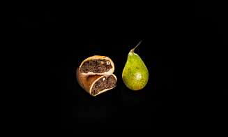 Birnenbrot